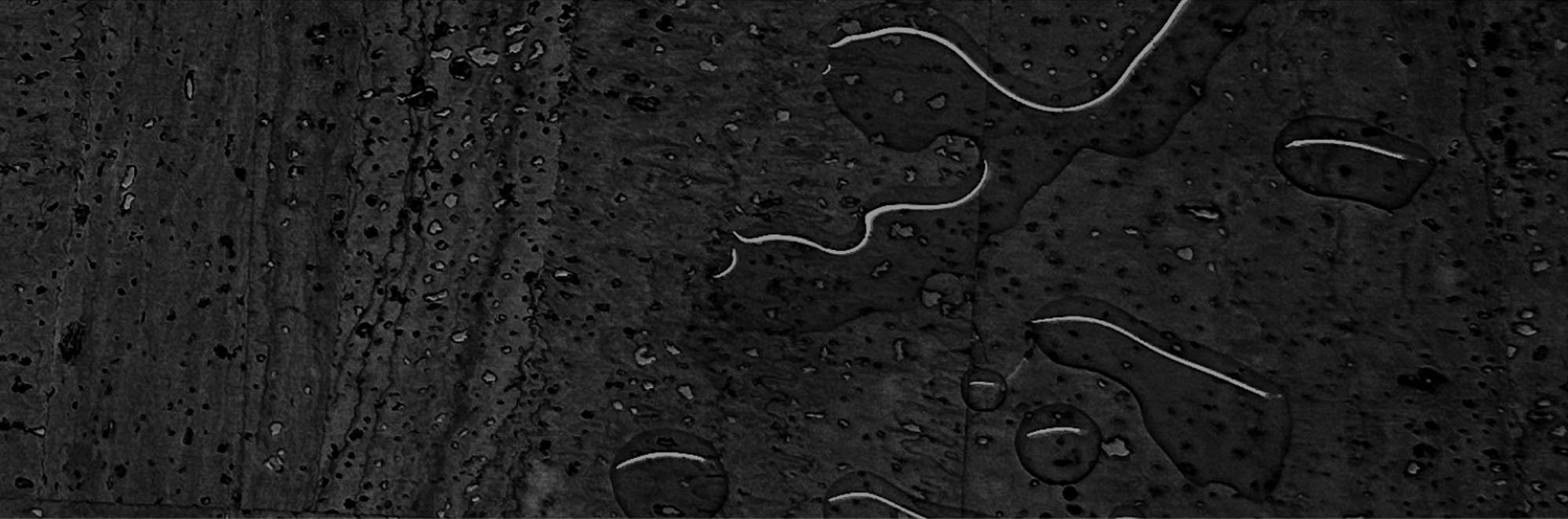 collection-banner-image